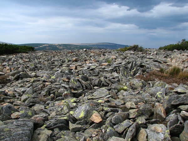 KRKONOŠE - SNĚŽKA 1602 M